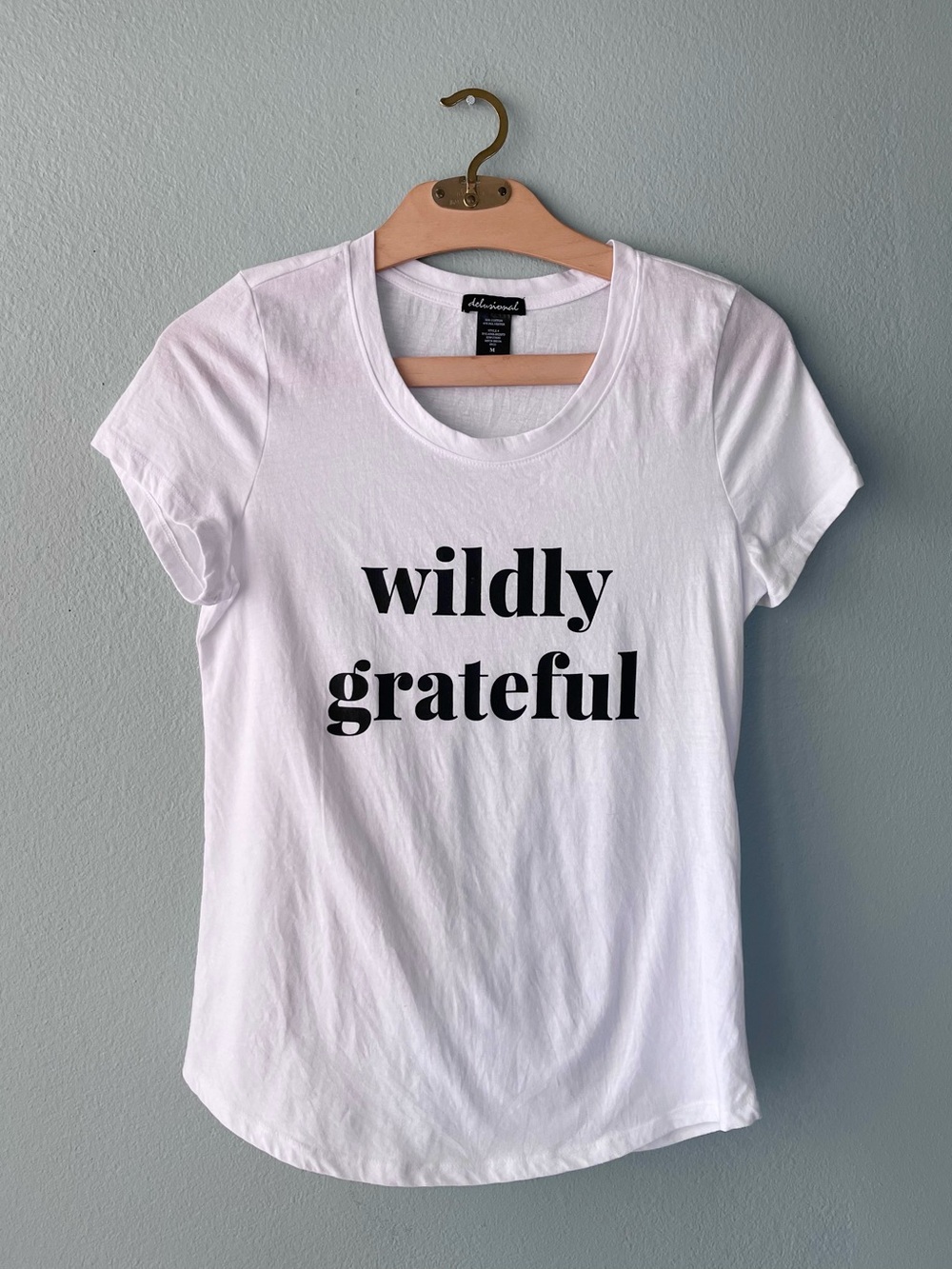 ♦️5/$15♦️Delusional | White Wildly Grateful Scoop Neck Tee